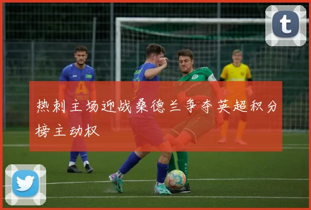 热刺主场迎战桑德兰争夺英超积分榜主动权