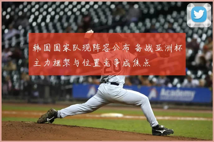 韩国国家队现阵容公布 备战亚洲杯主力框架与位置竞争成焦点