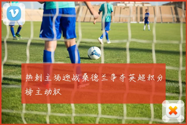 热刺主场迎战桑德兰争夺英超积分榜主动权