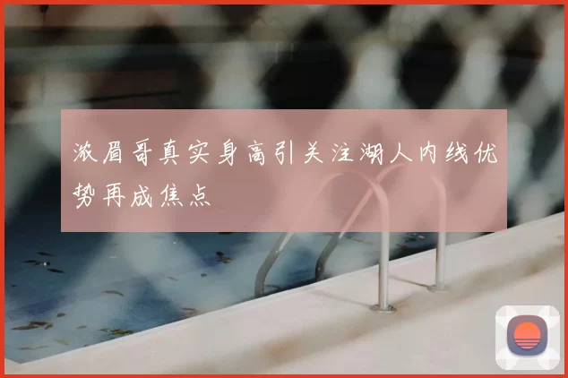 浓眉哥真实身高引关注湖人内线优势再成焦点